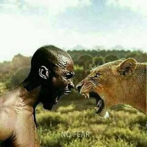 Meet your Posher, Djibaill